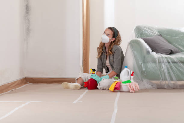 Reliable Mold Remediation contractor in Fort Lauderdale, FL by WQB Mold Removal